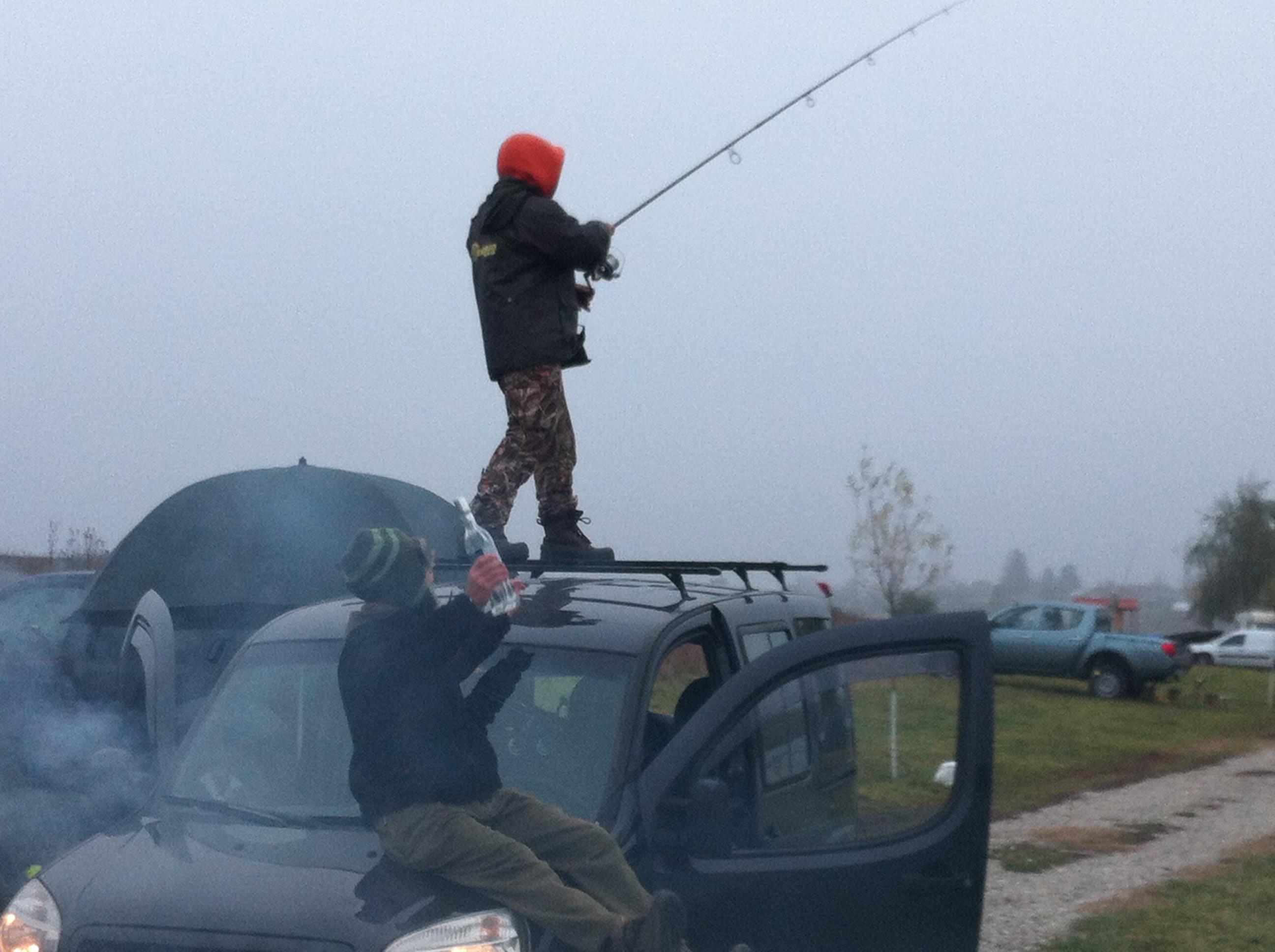 revansa MV2 - 2182.JPG